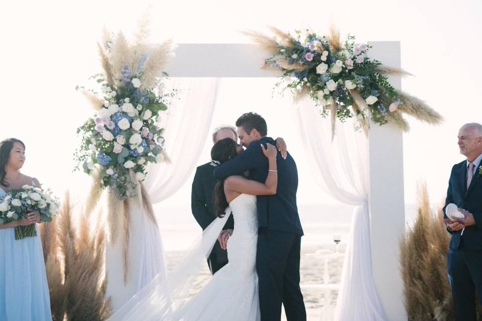 Pampas Grass & Bloomss