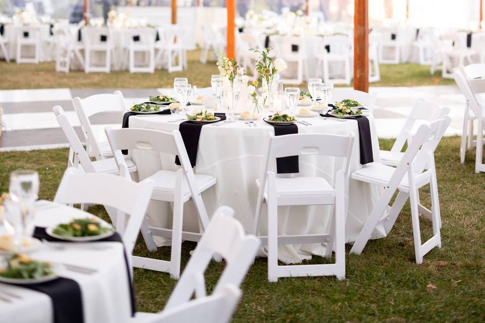 Black and White Reception