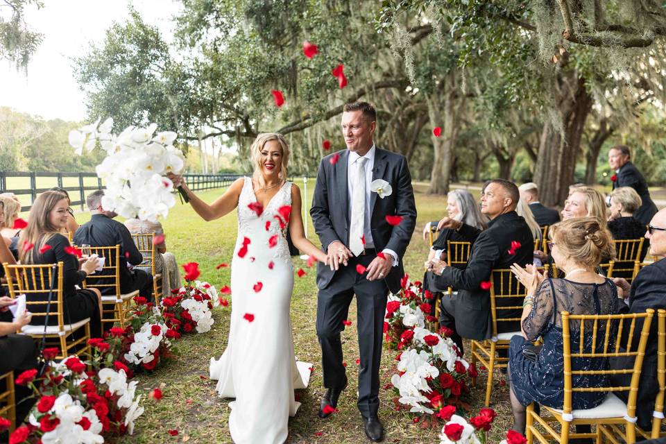 Spanish moss