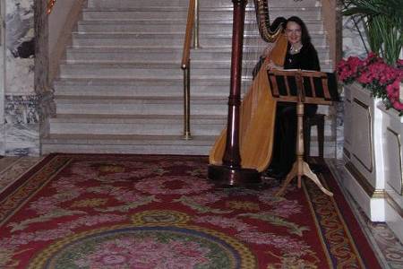 Always Elegant Harpist