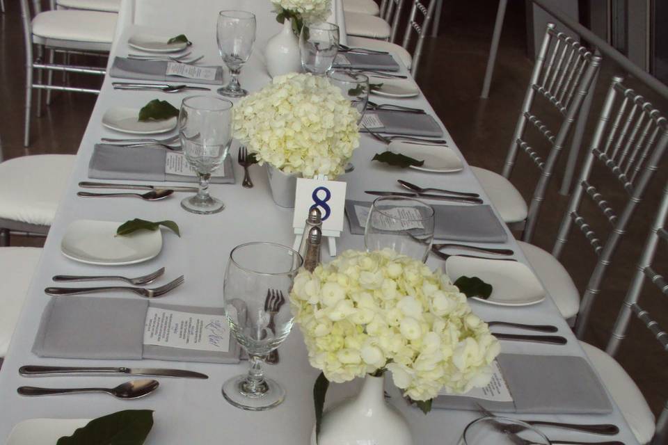 Aida's Wish Decor Rentals