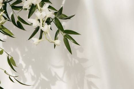 White and cream with greenery
