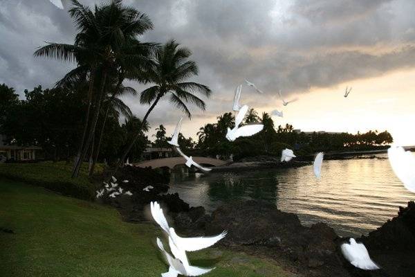 Hilton Waikoloa Village