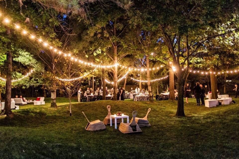 Backyard wedding reception