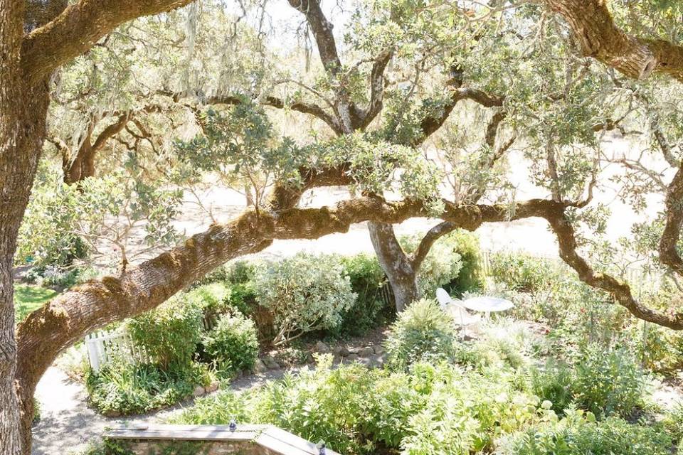 Beautiful Elopement at Beltane Ranch in Sonoma