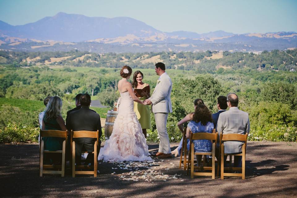 Stevi Hanson Wedding Officiant