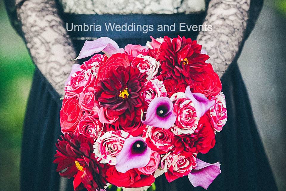 Umbria Weddings and Events