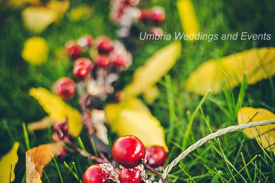 Umbria Weddings and Events