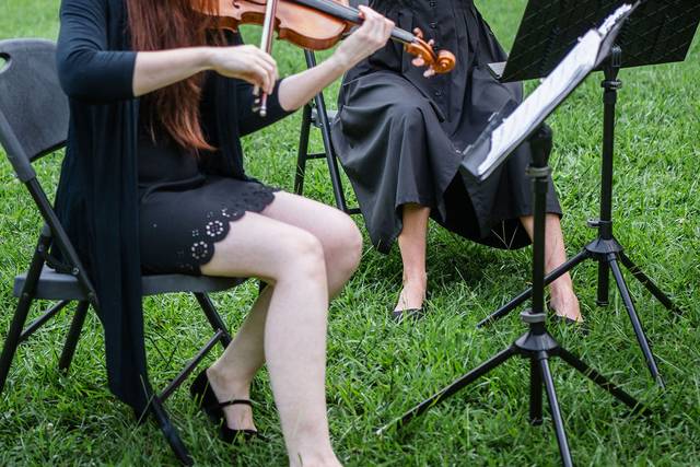 Celebration String Quartet