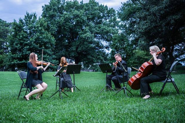 Celebration String Quartet