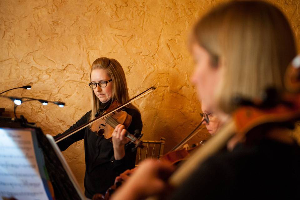 Celebration String Quartet