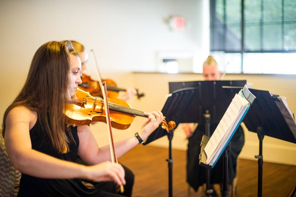 Celebration String Quartet