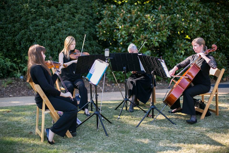 Celebration String Quartet