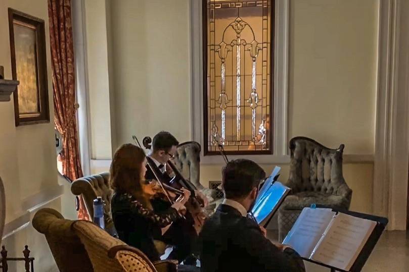 Oheka Castle - String Trio