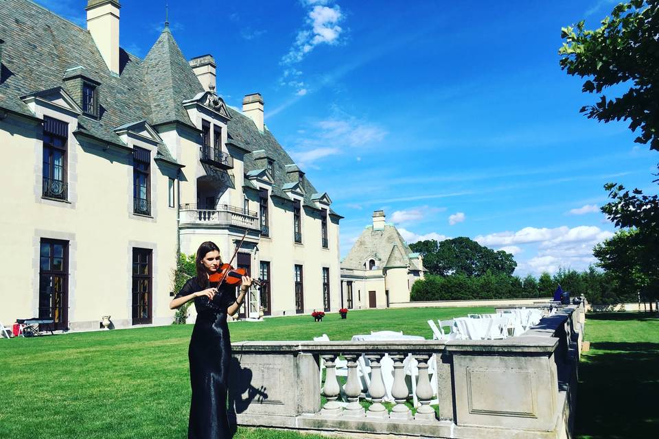 Wedding violinist