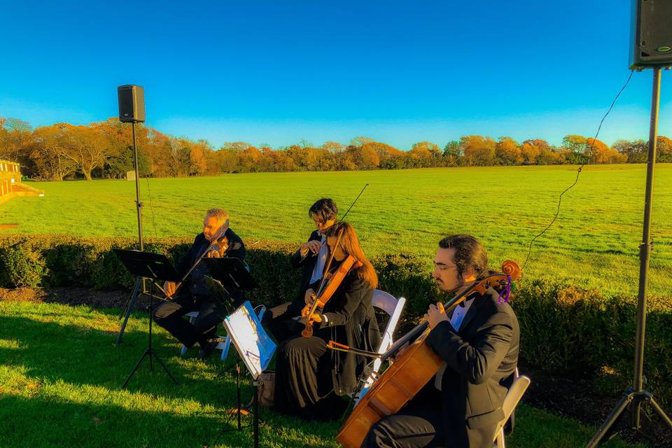 String quartet