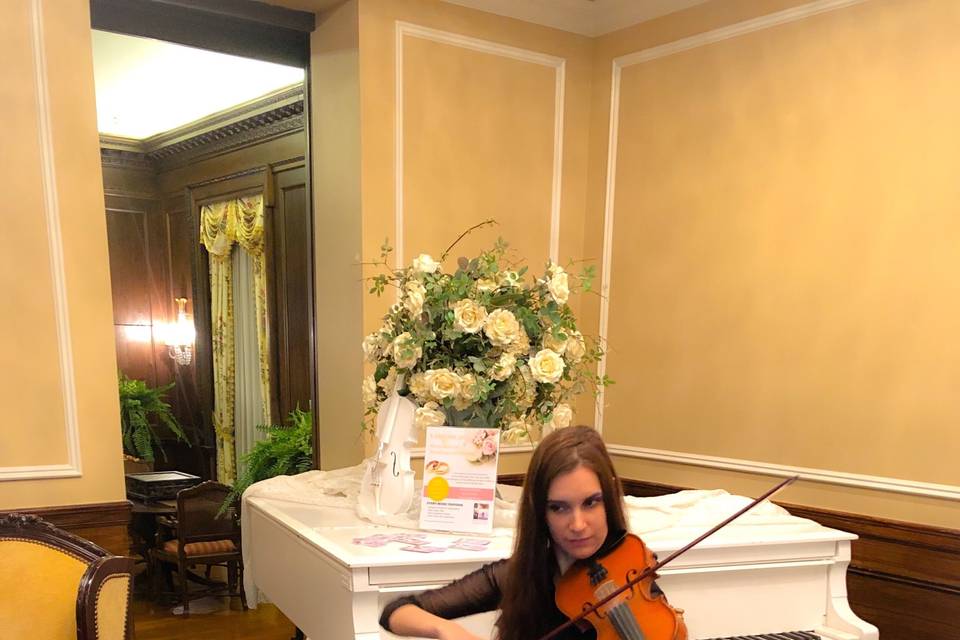 Cocktail violinist VSmusic4u