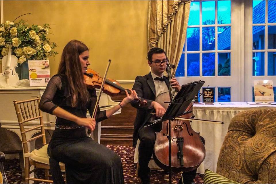 Wedding duo violin cello