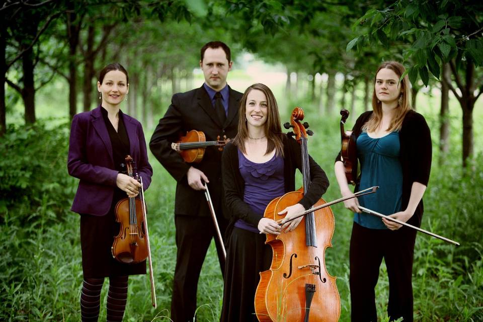 The Cincinnati Quartet
