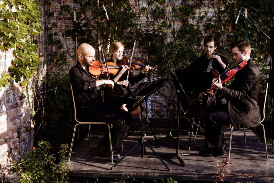 Our quartet at the City Winery