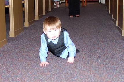 Voted Best Ringbearer of the Year!