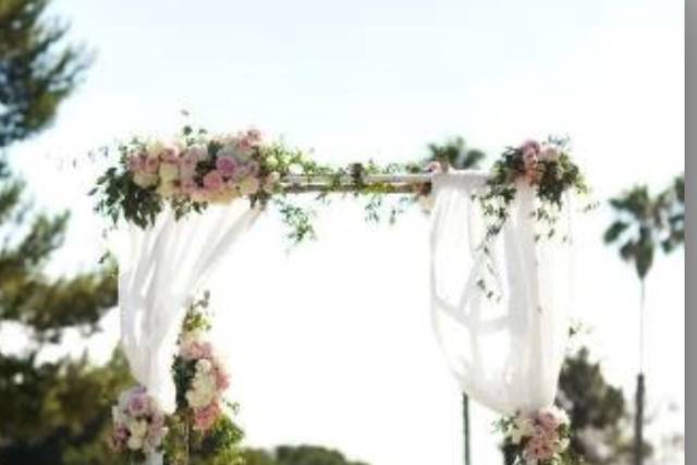Tropics blooms n More