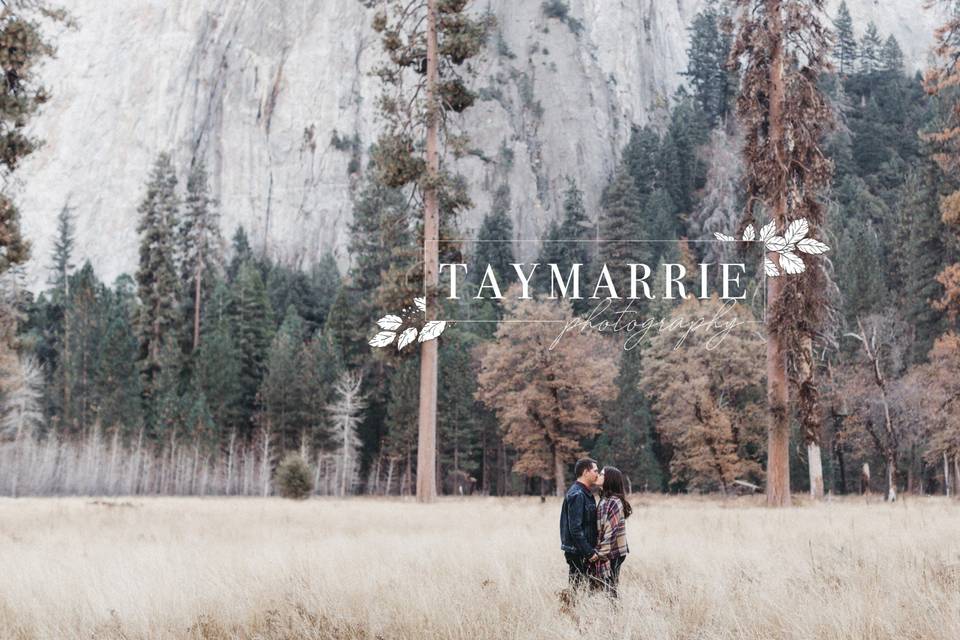 Yosemite Engagement Couple