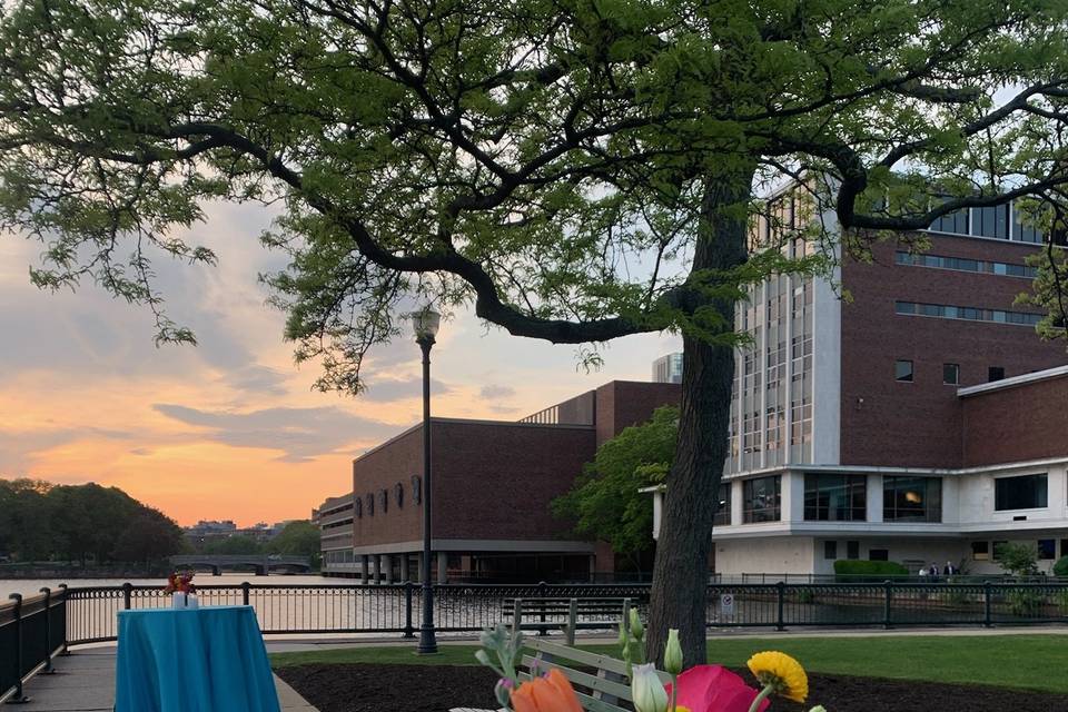 Cocktails by the river