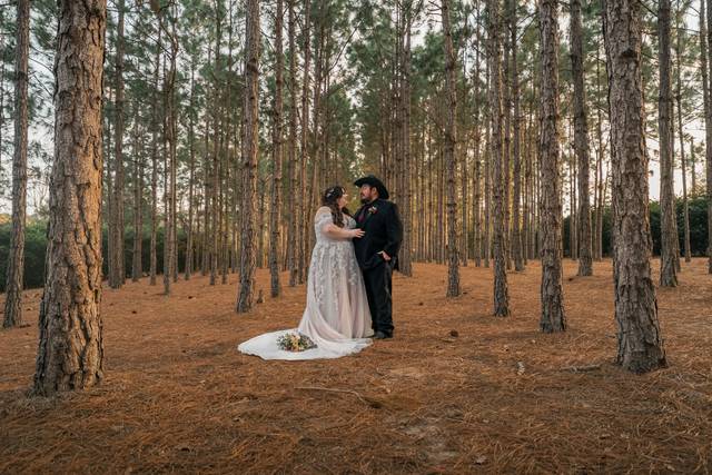 Alyssa & Alberto | Howey-in-the-Hills, FL (Orlando area)