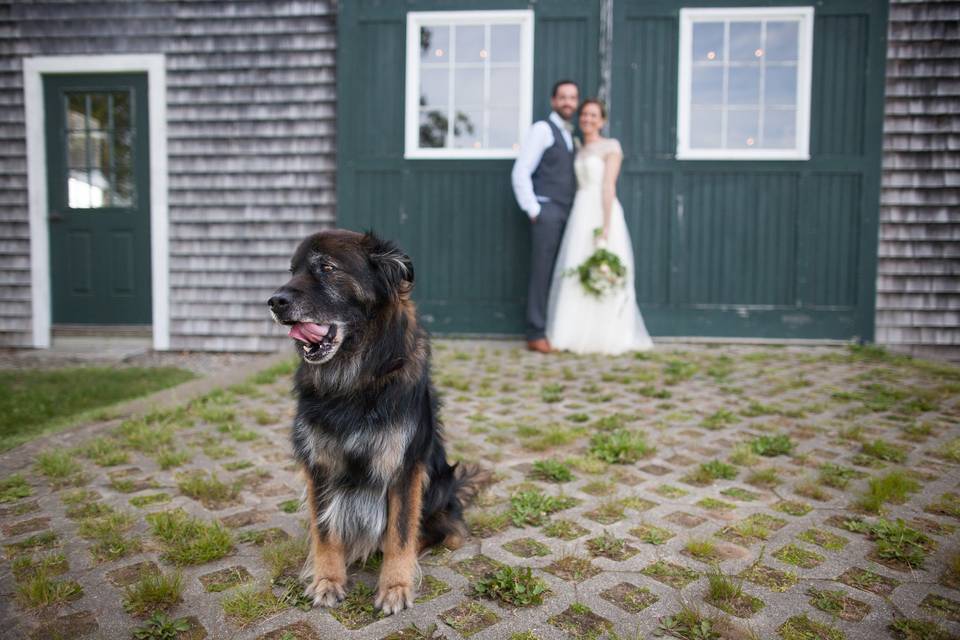 Furry friend - nancy gould photography