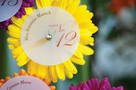 Daisy Seating Cards & Display