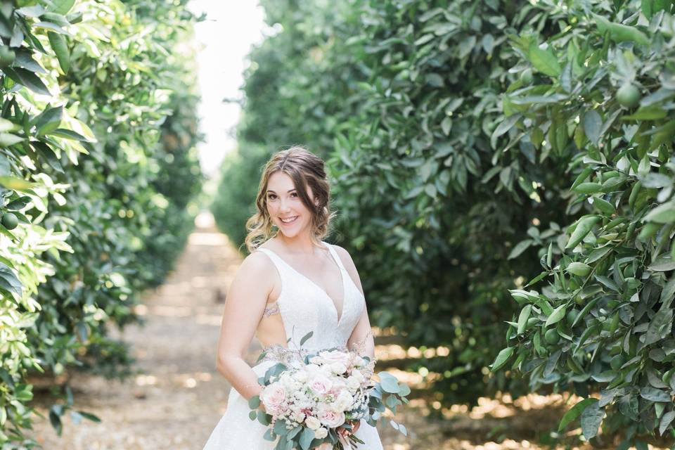 Lush Blooms