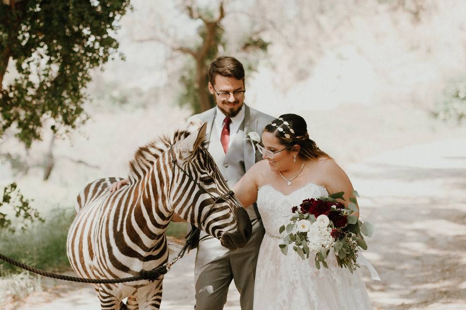 2019 Reptacular Ranch wedding