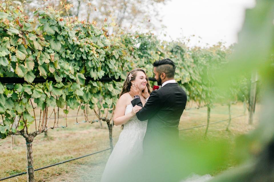 A Vineyard Wedding at the Williamsburg Winery in Williamsburg, Virginia