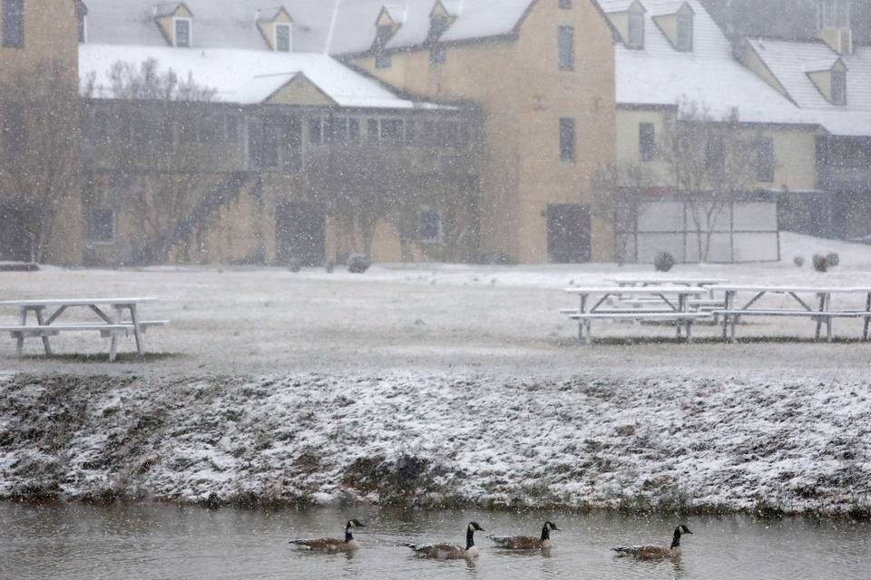 Lake in the Winter