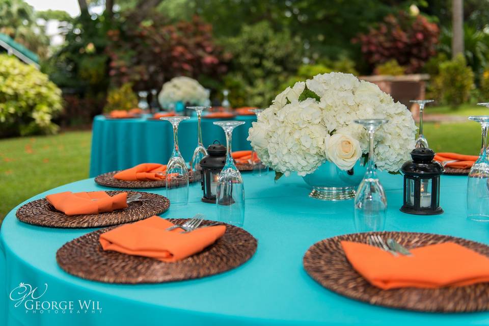 George Wil Photography