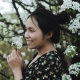 Ami Phi
