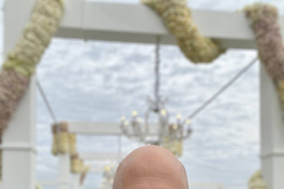 Ritz Carlton Amelia Island