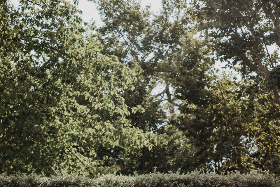 Floral arch