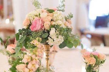 Randi Events