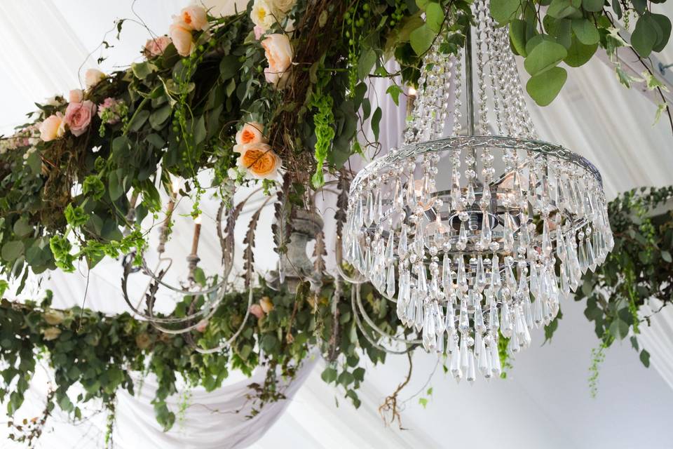 Randi Events