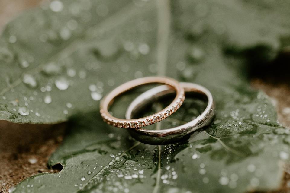 Rings on leaves with rain.