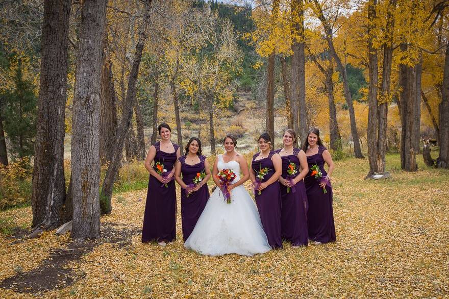 Bridal party Colorado