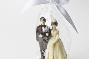 Bride and Groom wedding topper