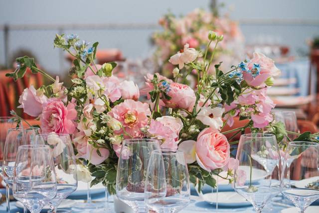 Garden roses