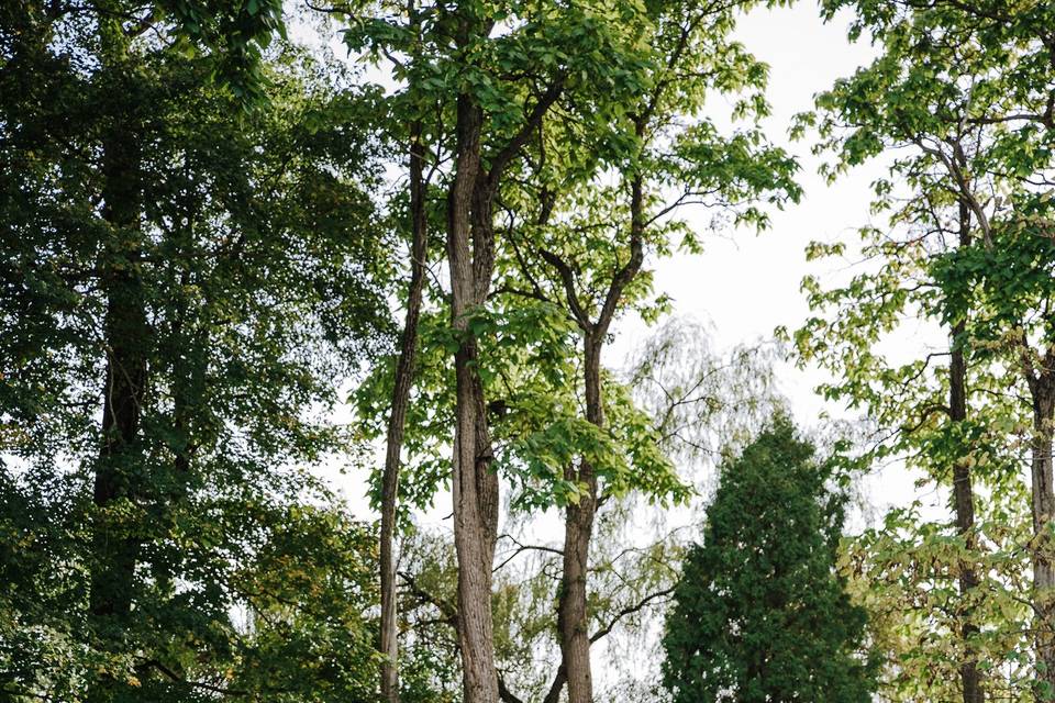 County Arbor