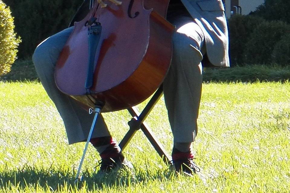 James Wood, Cellist