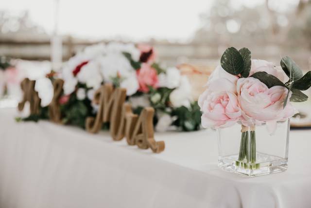 Shannon Fries Photography