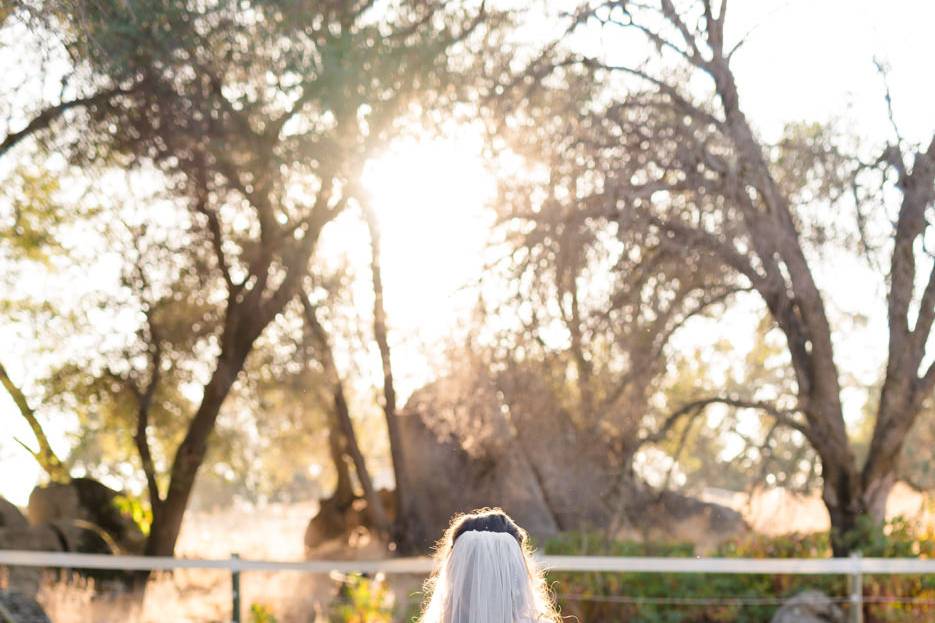 Bridal Portraits