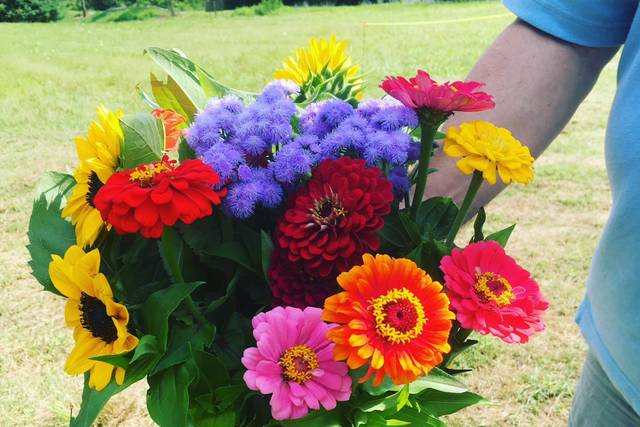Loads of colors